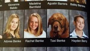 Taxi's Yearbook Picture