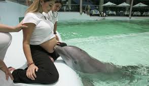 Dolphin with Pregnant Woman