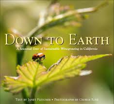 Down To Earth book cover