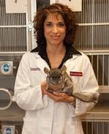 Dr. Laurie Hess with Chinchilla