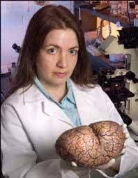 Dr. Lori Marino holding a brain