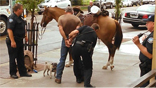 Patrick Schumacher arrested on horseback