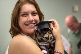 Eckerd Graduating Cat