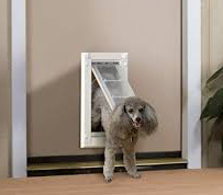 Endura Flap Pet Door