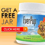 EverPup All-In-One Supplement Powder
