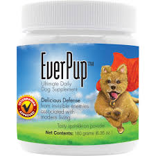 EverPup