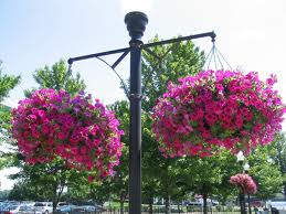 Flower baskets on lamppost