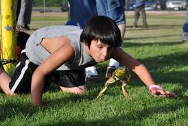 Frog Race