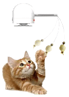 Frolicat Twitch