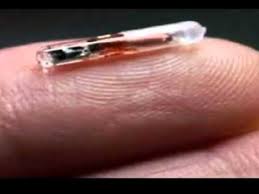 GPS Microchip