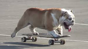 George on his Skateboard