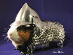 Guinea Pig Helmet