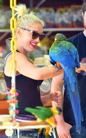 Gwen Stefani with Bird