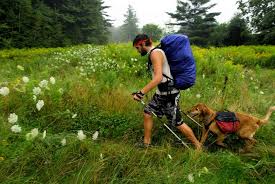 Man Hiking With Dog