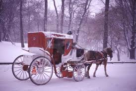 New York City Horse Carriage