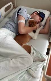 Dog Visiting Patient in Hospital