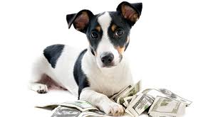 Dog with Money