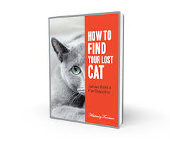 How To Find Lost Cat