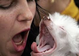 Human and dog yawning