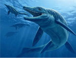 Ichthyosaur