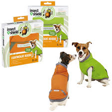 Dogs Wearing Insect Shield Clothing