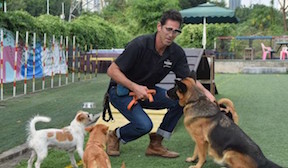 Jeffrey Beri with Dogs