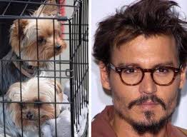 Johnny Depp and Pistol & Boo