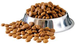 Kibble