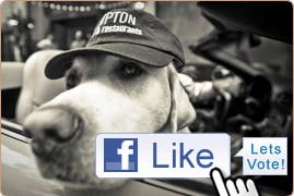 Kimpton photo contest voting