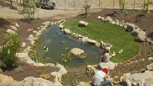 Koi Pond in Desert