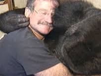 RobinWilliams and Koko