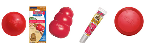 Kong Giveaway Items