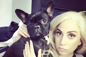 Lady Gaga & Asia