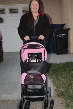 Happy Trails Stroller