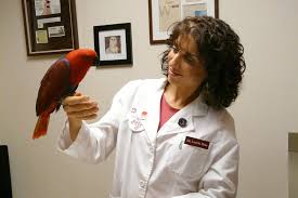 Dr. Laurie Hess with Bird