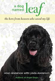 A Dog Named Leaf book cover