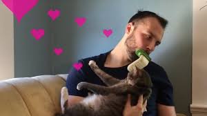 Man Using LICKI Brush on Cat  