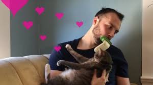 Man Using LICKI Brush on Cat  