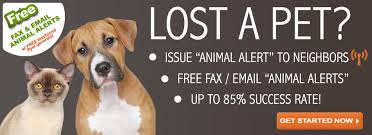 Lost My Doggie Dot Com Logo