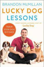 Lucky Dog Lessons Book Cover
