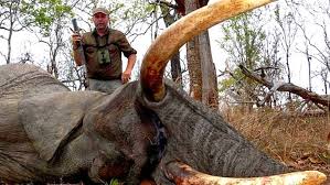 Mark Gunton with dead elephant