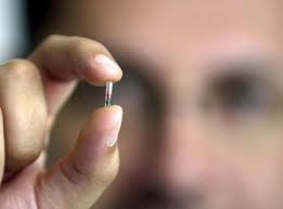 Veterinarian holding microchip