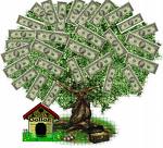 Doghouse and Money growing on a tree