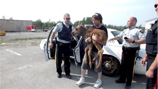 Officers with baby moose