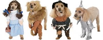 Wizard of Oz Dog Costumes