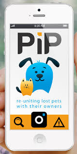 PIP App