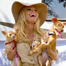 Pamela Anderson with Dogs