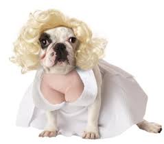 Dog in Marilyn Monroe Costume
