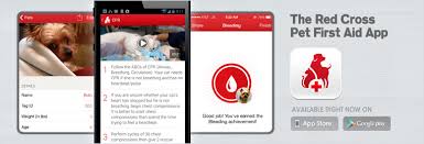 Pet First Aid App