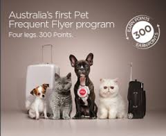 Virgin Australia Frequent Pet Flyer Club